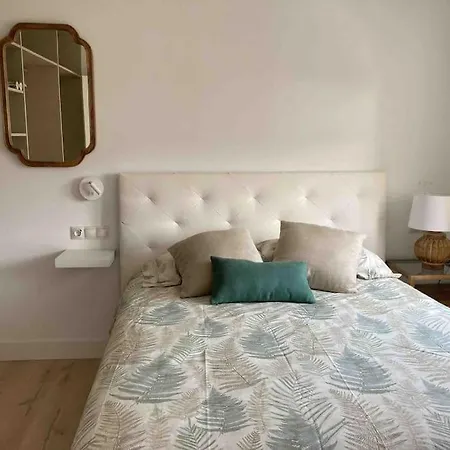 Apartment Piso Centrico Con Garaje Privado Gratis *